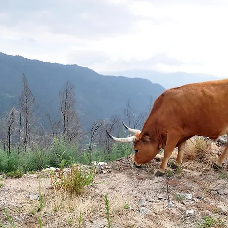 Pensionat Geres Guest House