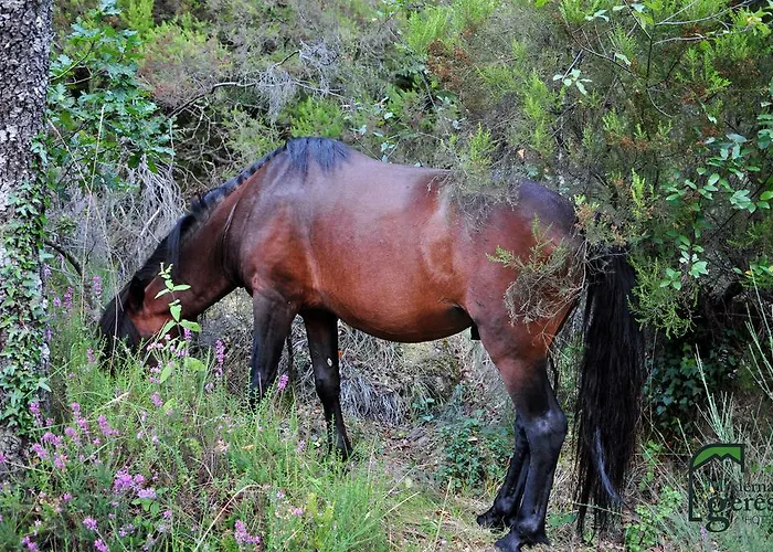 Geres Guest House Penzion Geres